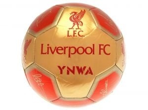 Liverpool Signature Size 5 Football